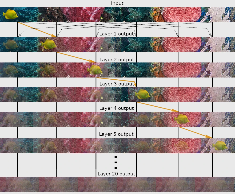 Attention rank collapse